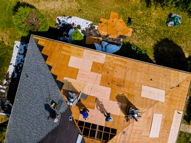 Quick and Trustworthy Emergency Roof Repair Services in Paradise, NV